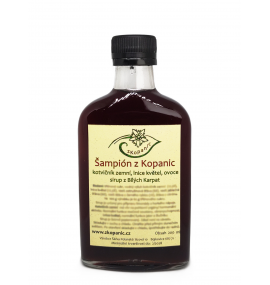 &Scaron;ampi&oacute;n z Kopanic